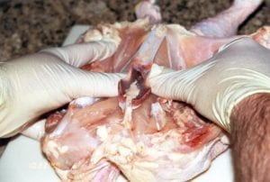 Using fingers to separate breastbone from meat