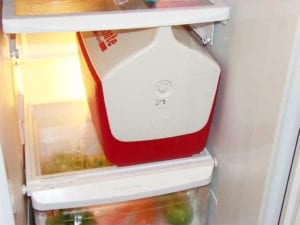 Cooler in the refrigerator for 48 hours